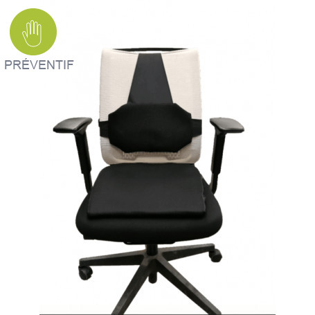 Coussin lombaire ergonomique ergoback pour dossier de chaise de bureau -  RETIF