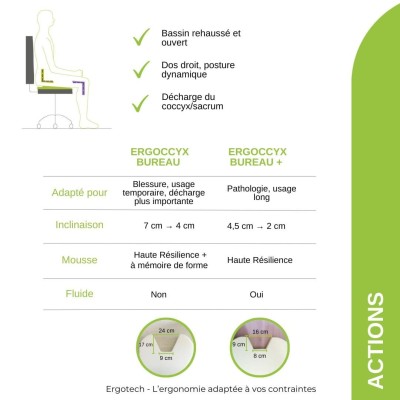 coccy ergonomic cushion