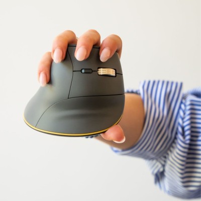 souris ergonomique fast forward