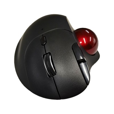 semi vertical mouse