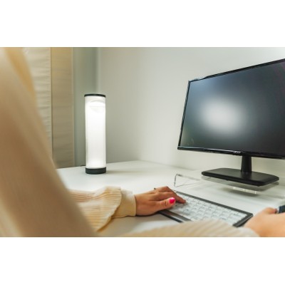 lampe de bureau professionnelle