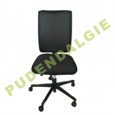 Efficient Chair (Pudendalgie)